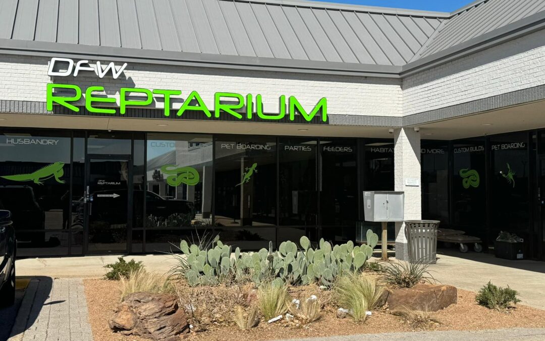 Store of the Month – March 2024