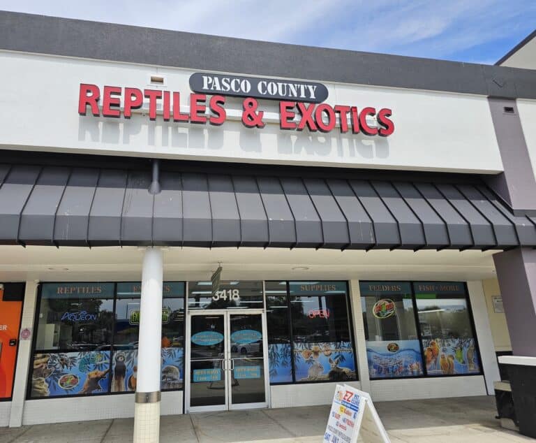 Store of the Month - June 2025