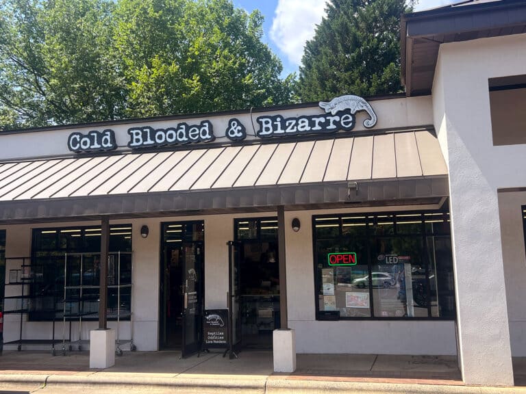 Store of the Month - July 2025