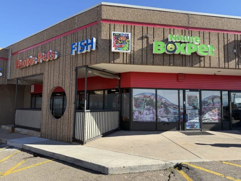 Store of the Month - October 2025