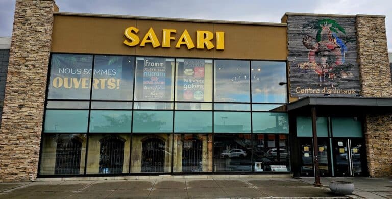 Store of the Month - November 2025