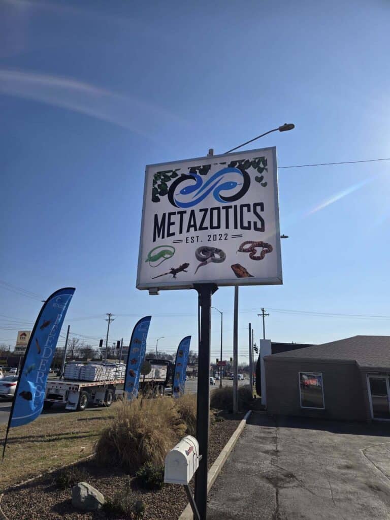 Store of the Month - December 2025