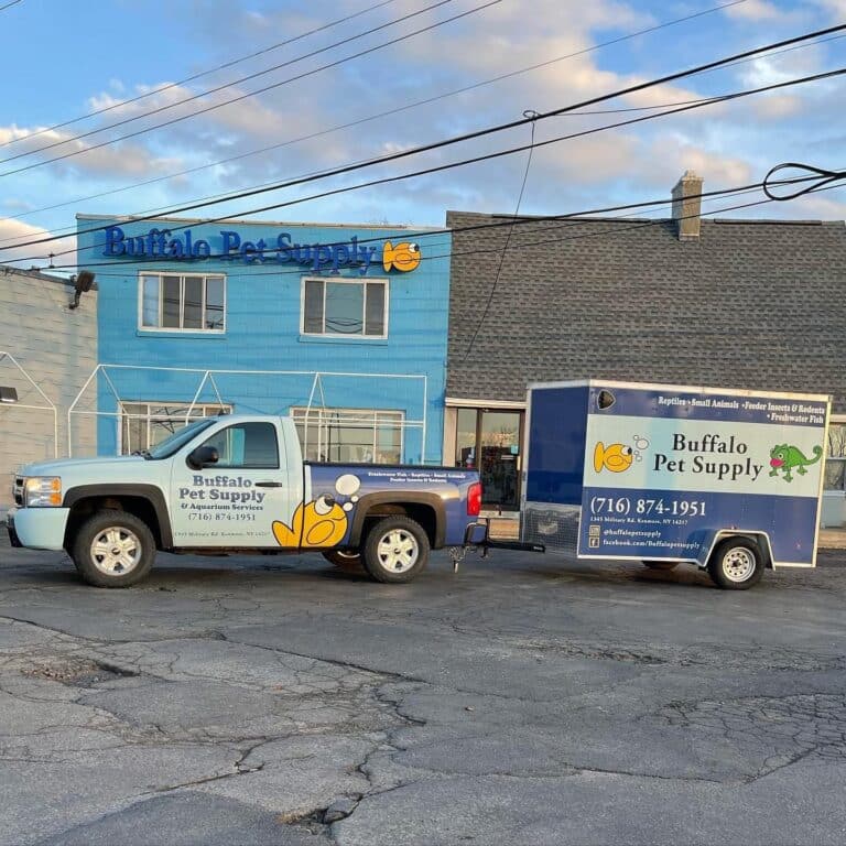 Store of the Month - May 2025