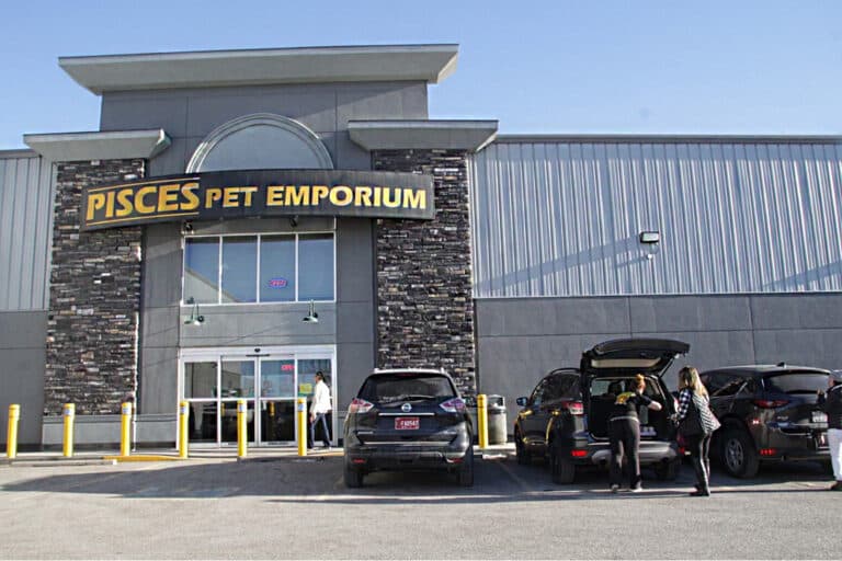 Store of the Month - January 2026