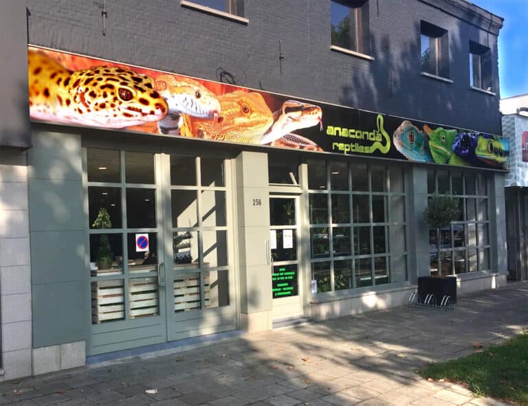 Store of the Month - February 2026