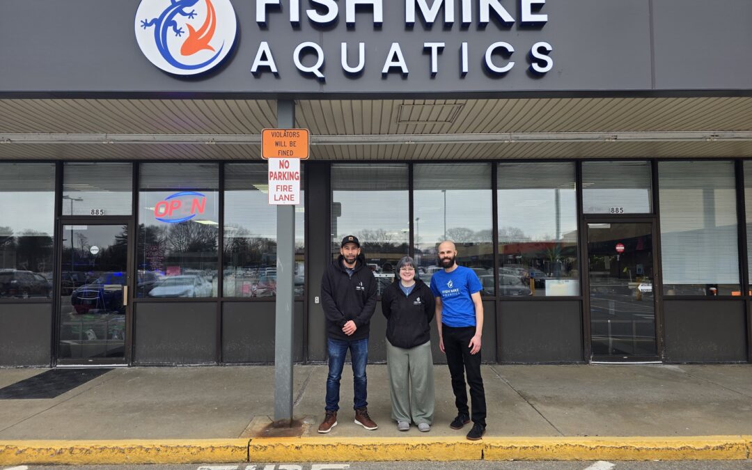 Store of the Month – April 2026