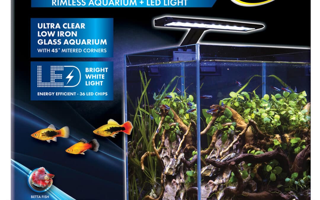 Purevue Rimless Aquarium + LED Light