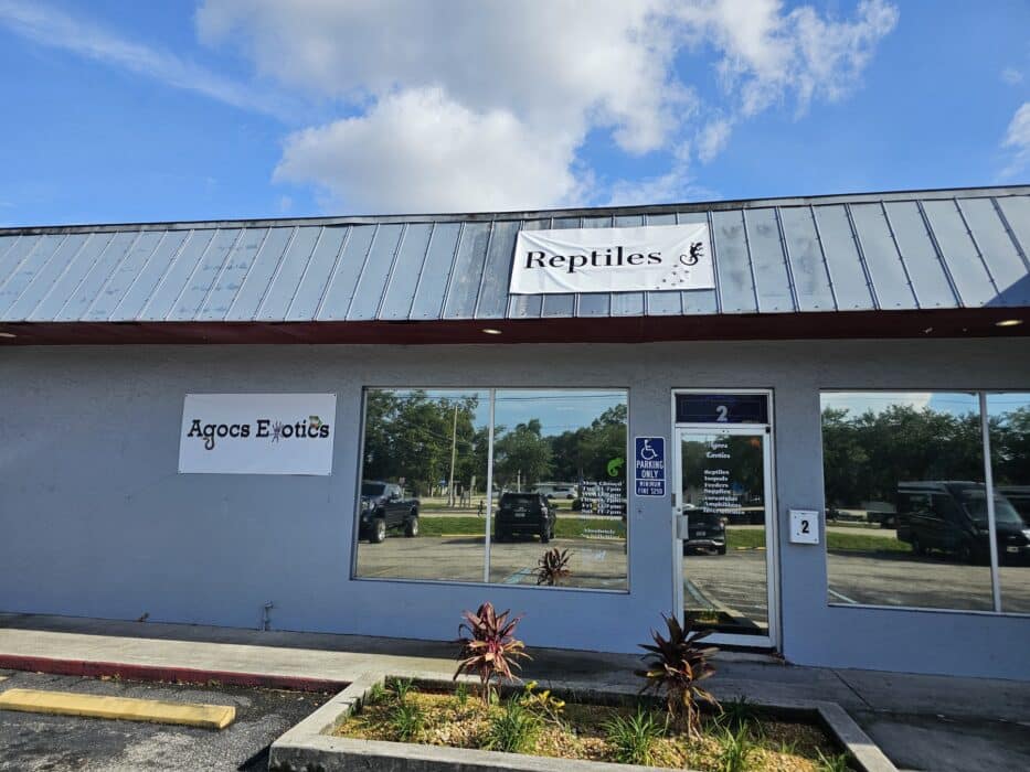 Store of the Month - June 2026