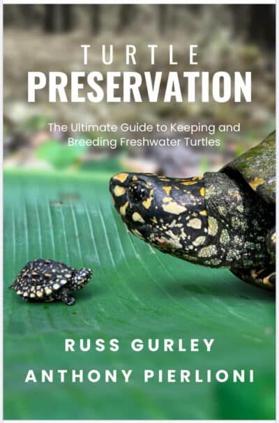 Turtle Preservation Book