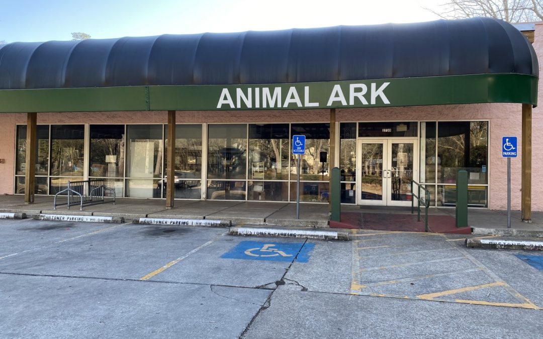 Store of the Month – March 2021