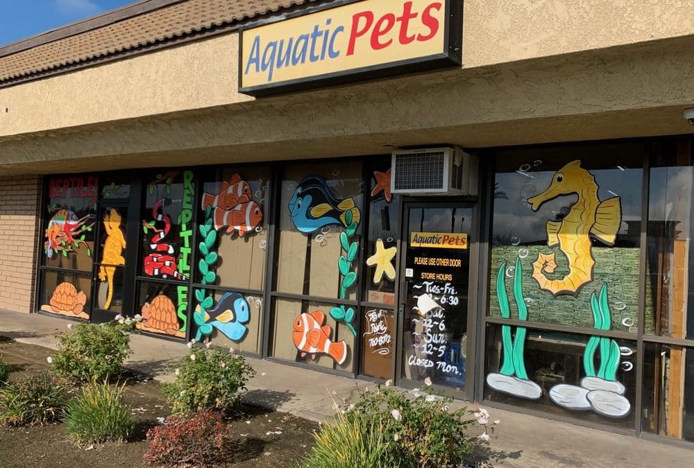 Store of the Month – February 2019