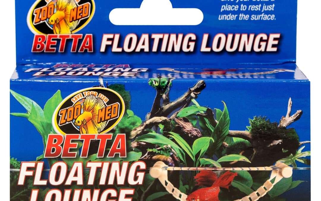 Betta Floating Lounge