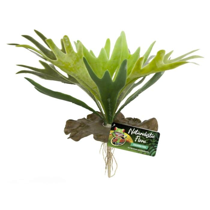 Naturalistic Flora Saghorn Fern
