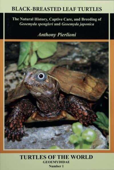 Black-Breasted Leaf Turtles Book