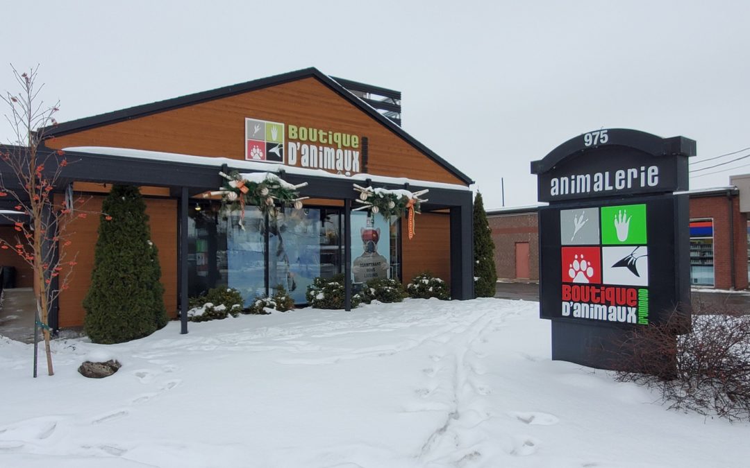 Store of the Month – February 2021