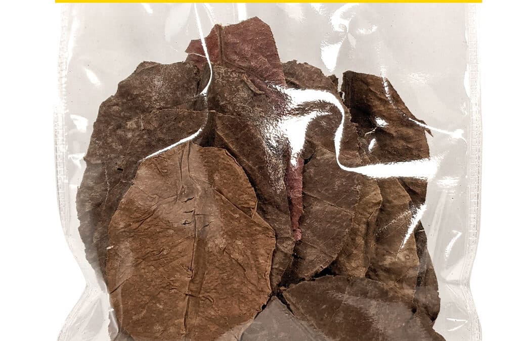 Creatures&reg; Leaf Litter Substrate Topper