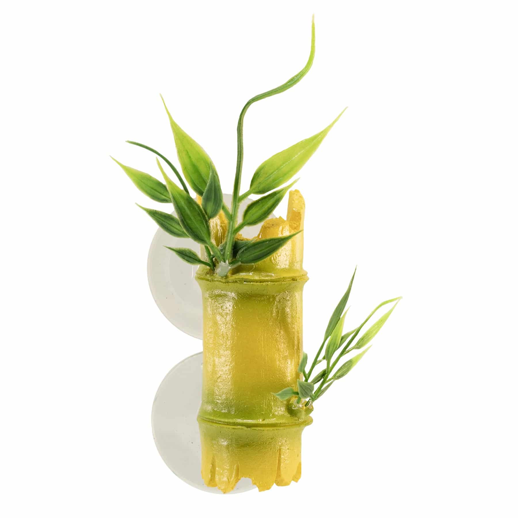 CT-D2_097612008425_Creatures-Bamboo_7