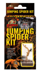 Jumping Spider Kit