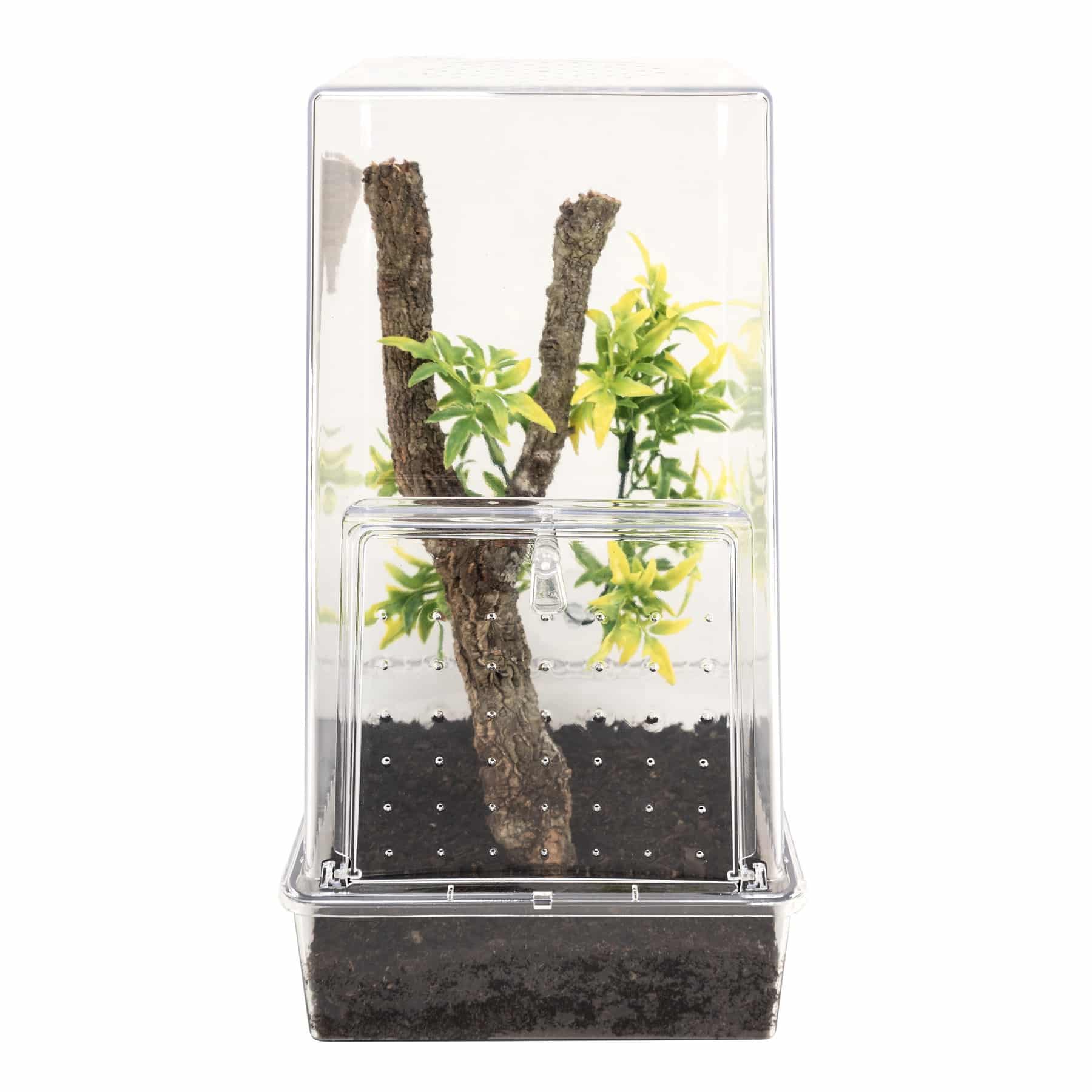 Creatures Arboreal Creature Kit | Zoo Med Laboratories, Inc.