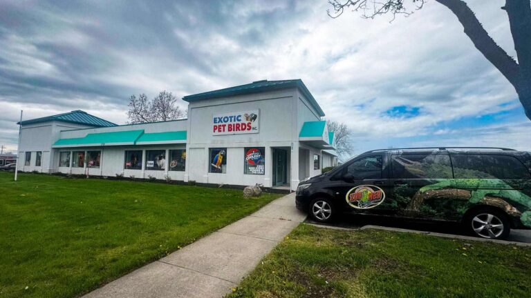 Store of the Month - May 2026