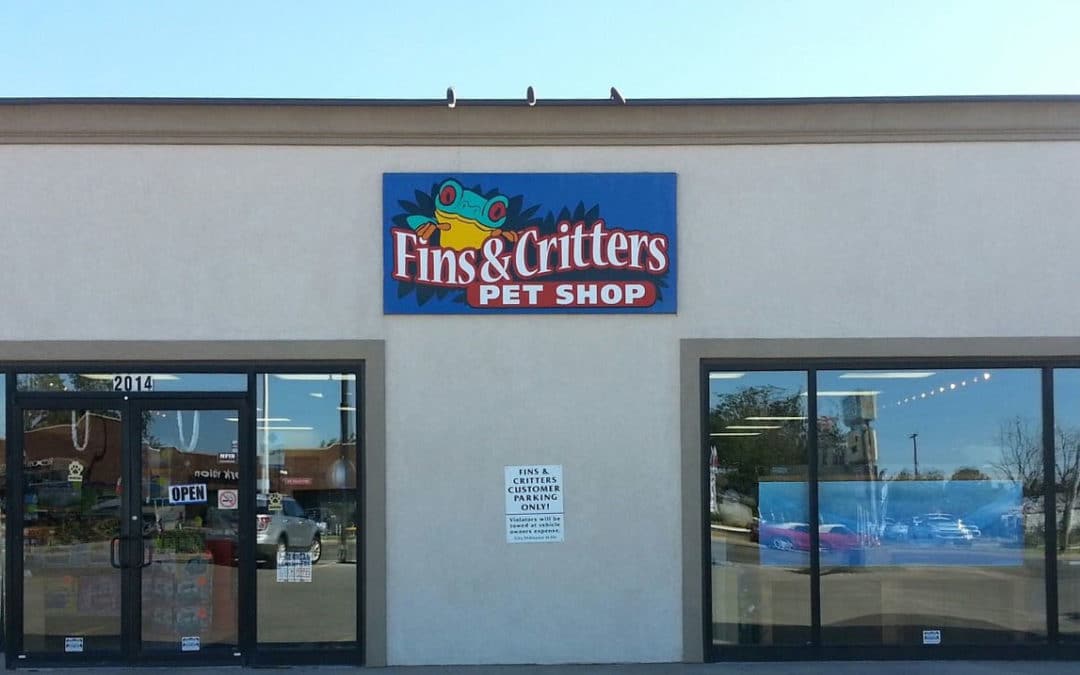Store of the Month – June 2019