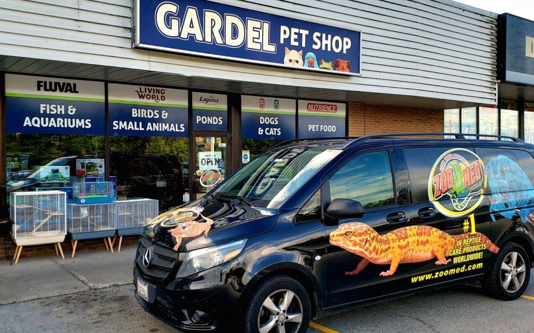 Store of the Month – November 2019