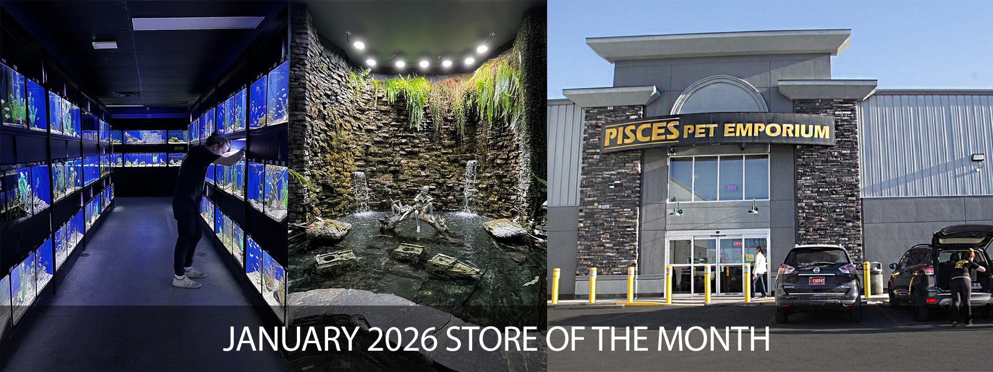 Zoo Med's Store of the Month