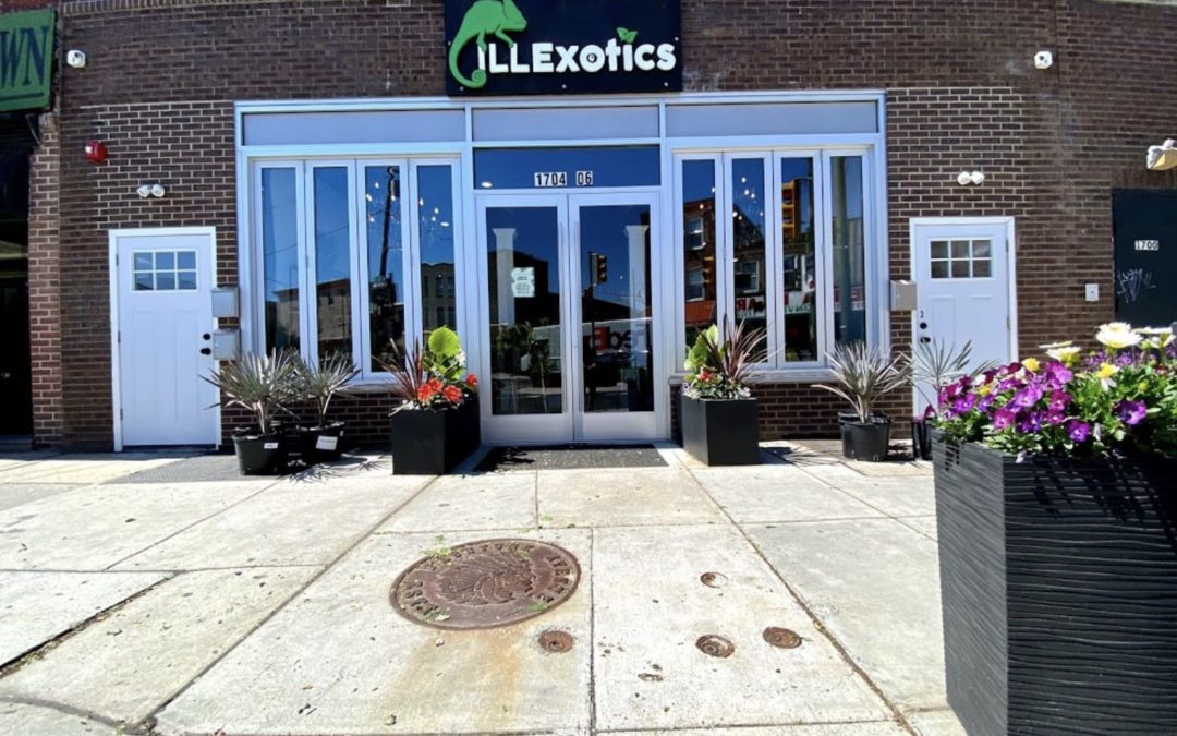 Store of the Month – May 2021