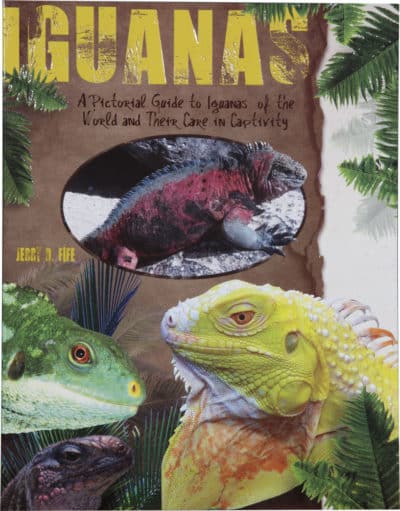 Iguanas Book