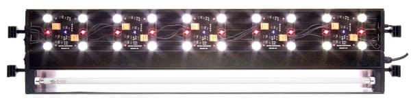 T5 ReptiSun® LED UVB Terrarium Hood | Zoo Med Laboratories, Inc.