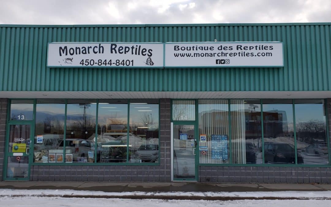 Store of the Month – February 2020
