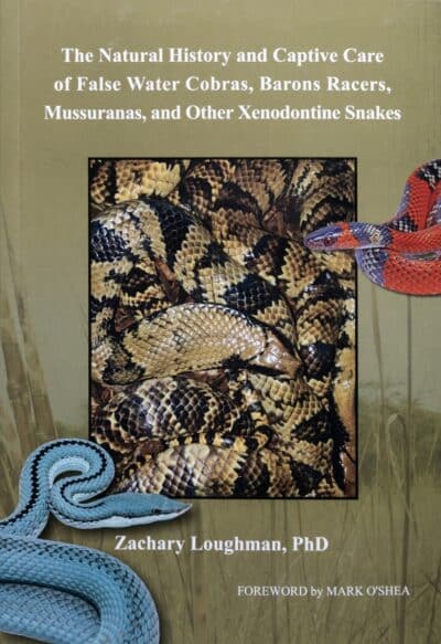 The Natural History and Captive Care of False Water Cobras, Barons Racers, Mussuranas, and Other Xenodontine Snakes
