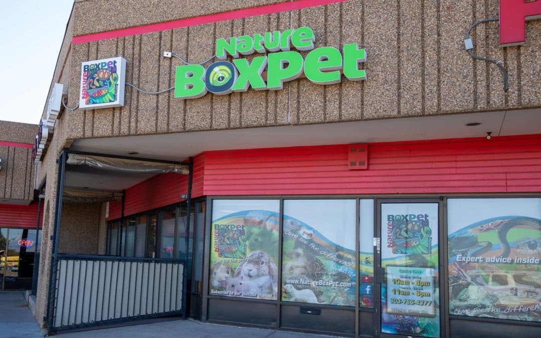 Store of the Month – October 2020