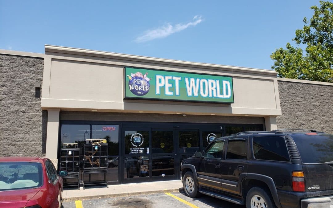 Store of the Month – September 2019