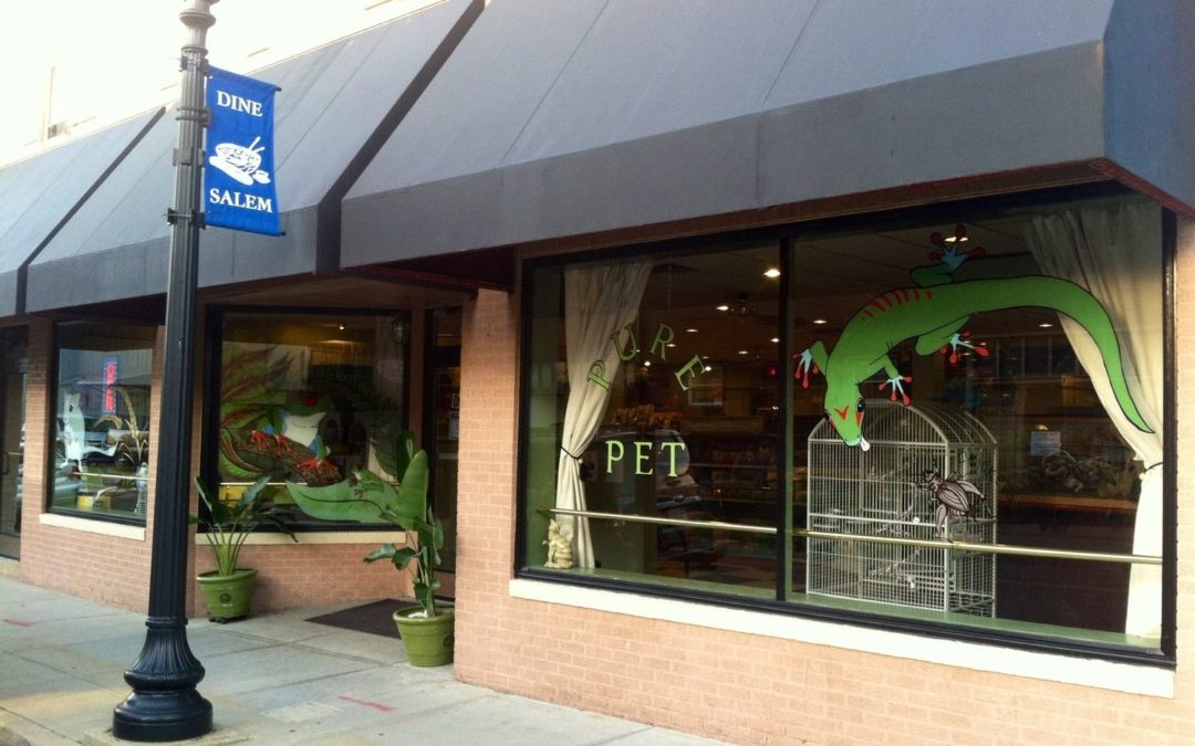 Store of the Month – December 2021