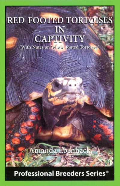 Red-Footed Tortoises in Captivity