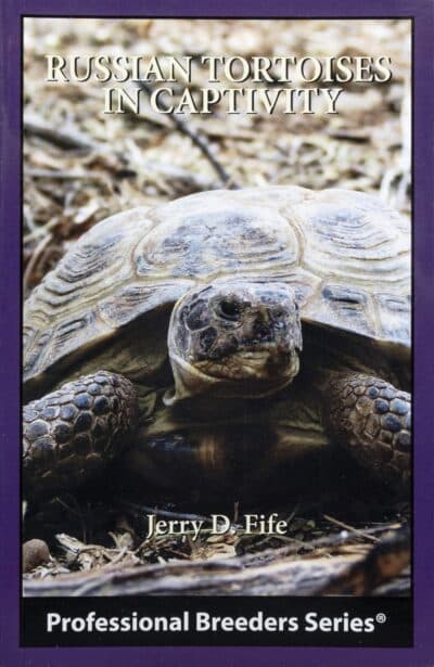 Russian Tortoises in Captivity