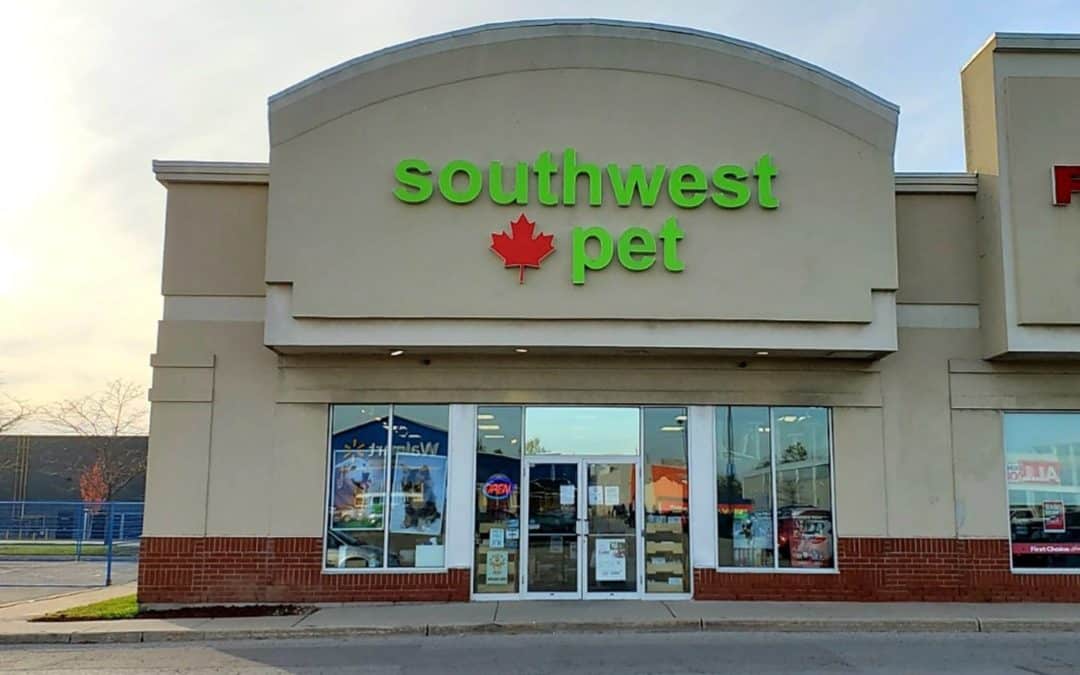 Store of the Month – November 2020