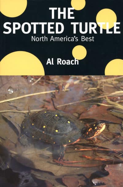 The Spotted Turtle - North America's Best