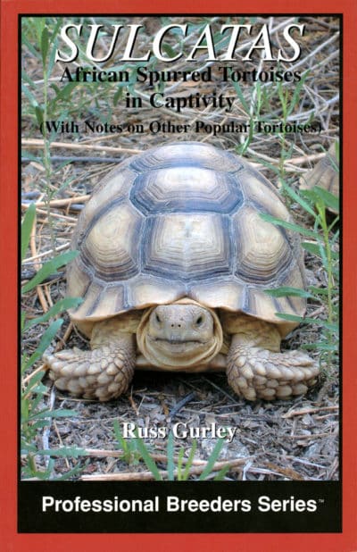Sulcatas African Spurred Tortoises in Captivity