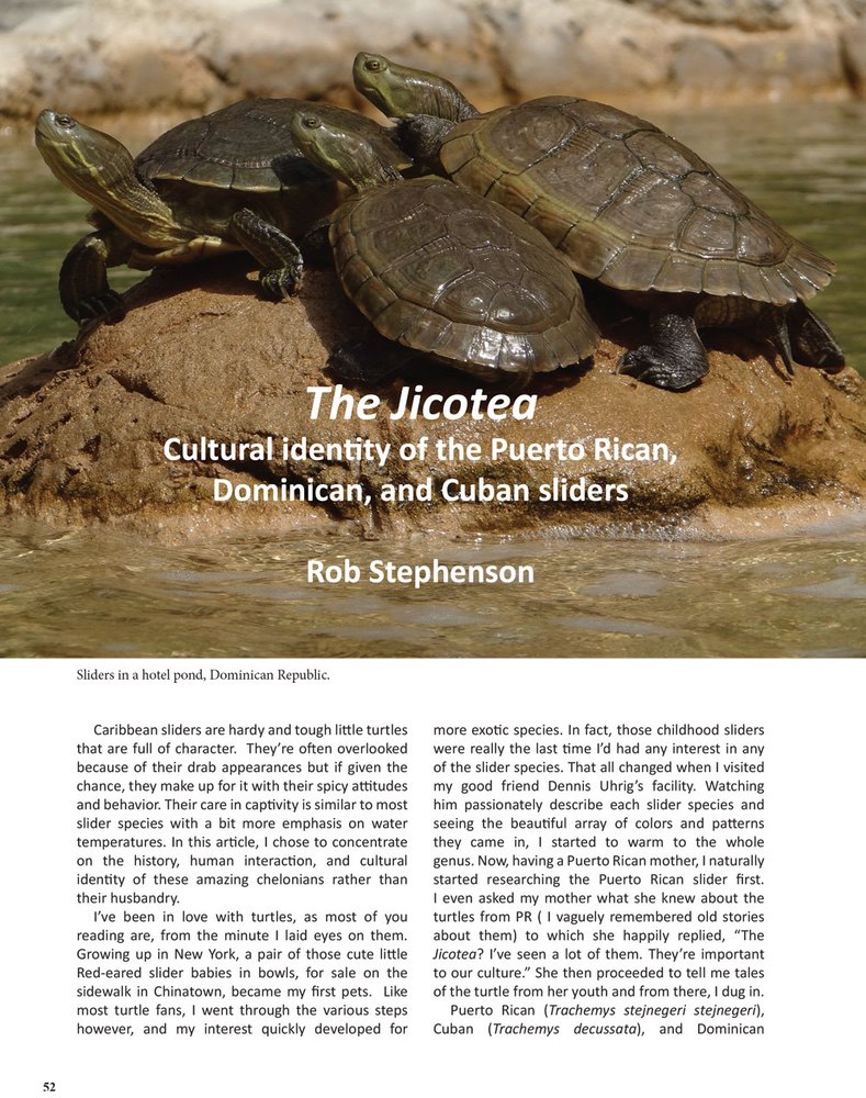 THE-BATAGUR-2014-The-Jicatea-by-Rob-Stephenson-1