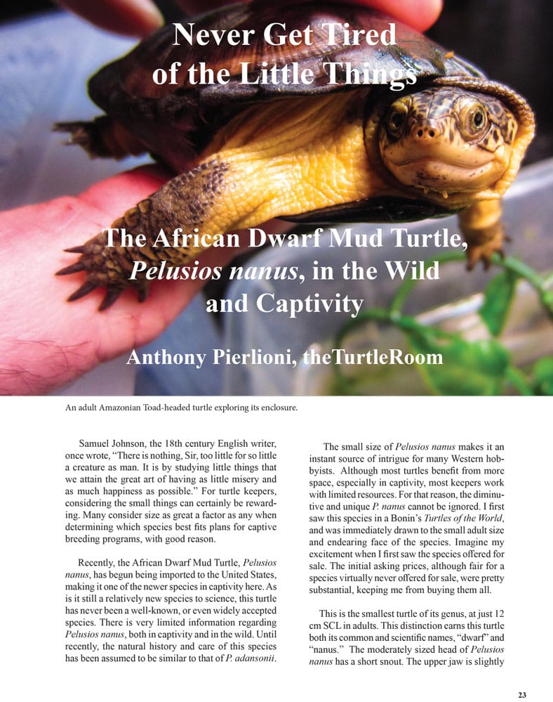 THE-BATAGUR-2015---Pelusios-nanus-1