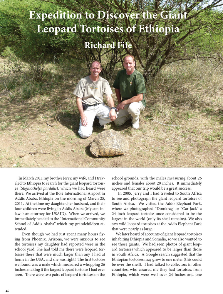 THE-BATAGUR-2017---Fife-leopard-tortoises-1