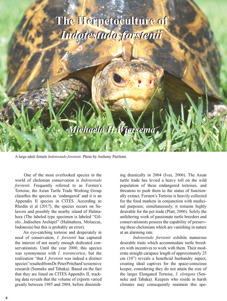 THE-BATAGUR-2017---forstens-tortoises-1