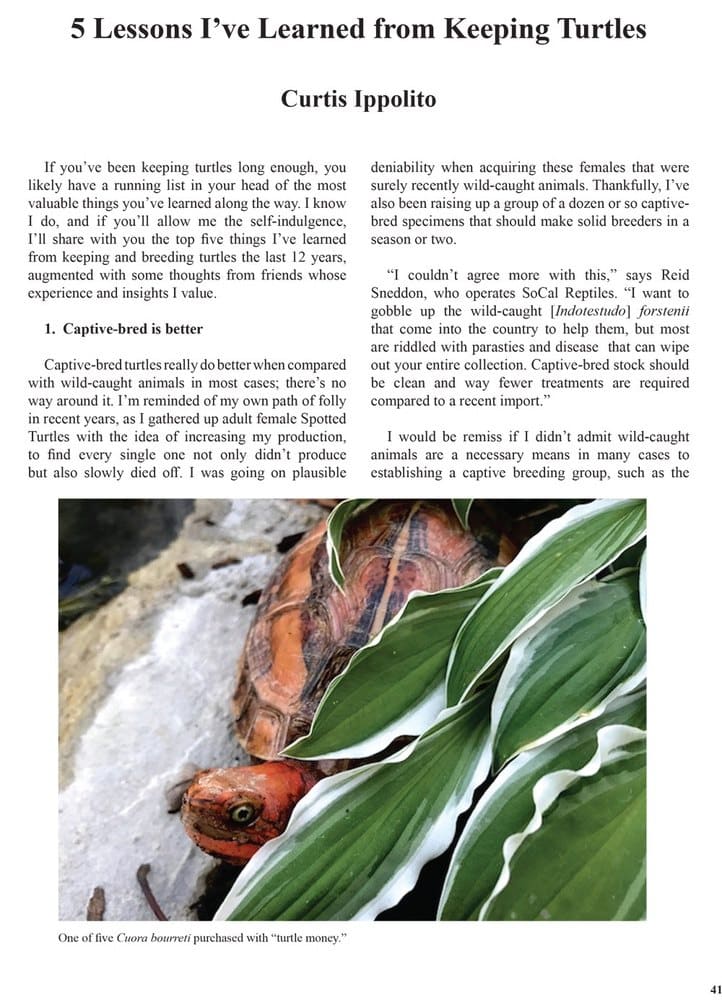 THE-BATAGUR-2018-5-lessons-by-Curtis-Ippolito-1