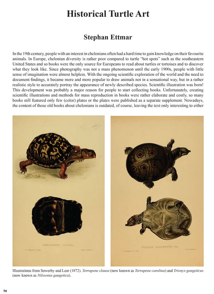 THE-BATAGUR-2020-Historical-Turtle-Art-by-Stephan-Ettmar-1