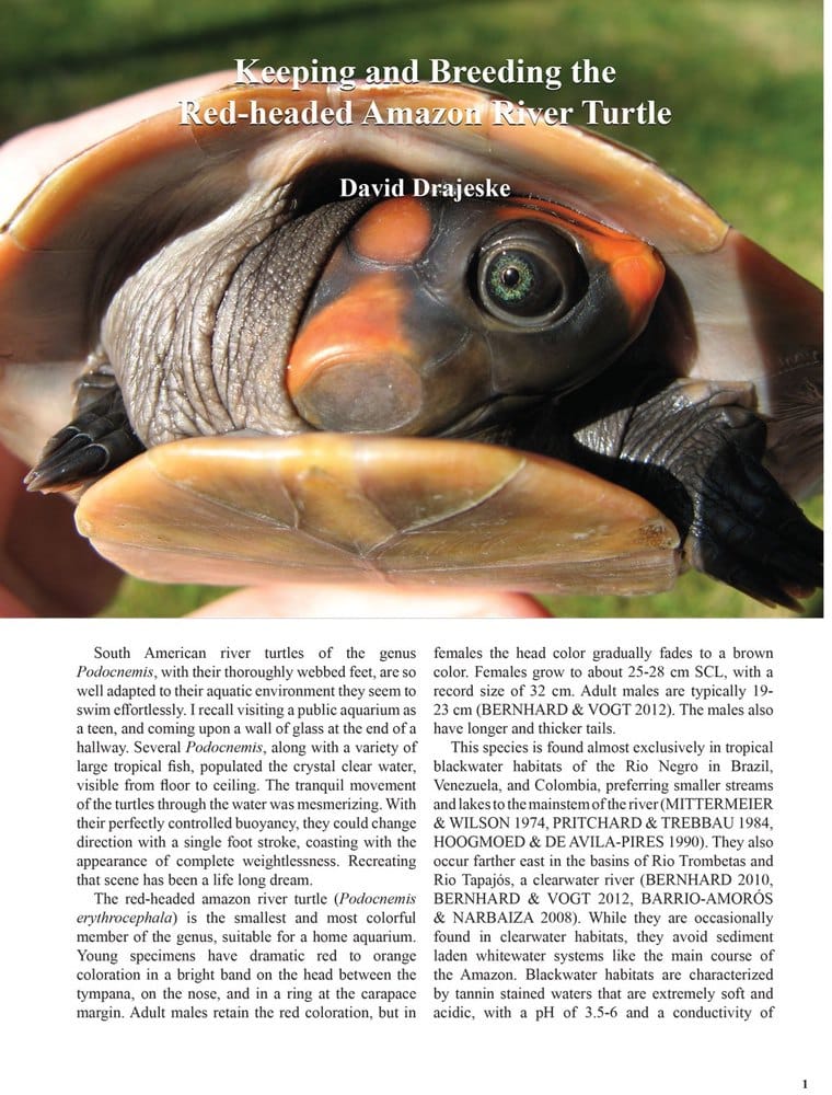 THE-BATAGUR-2021-Drajeske-article-1