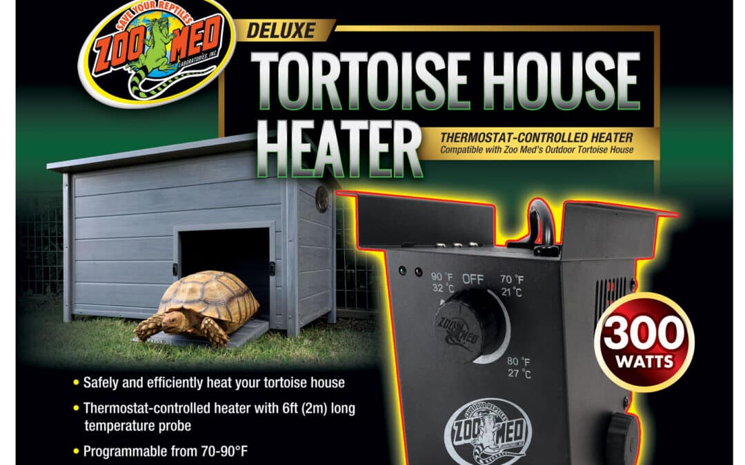 Tortoise House Heater