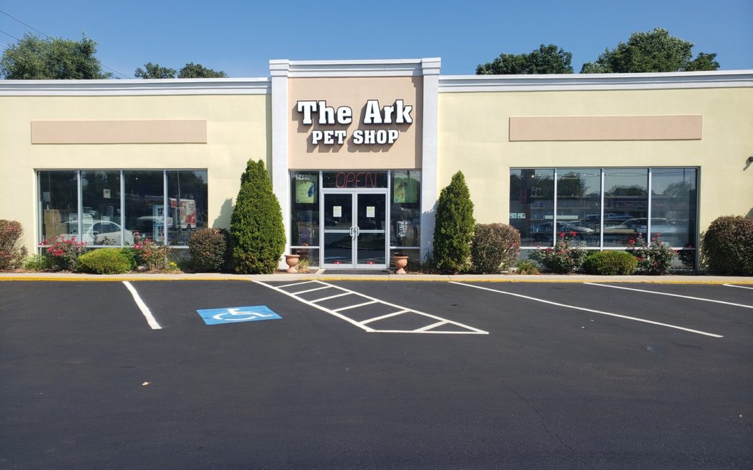 Store of the Month – September 2020