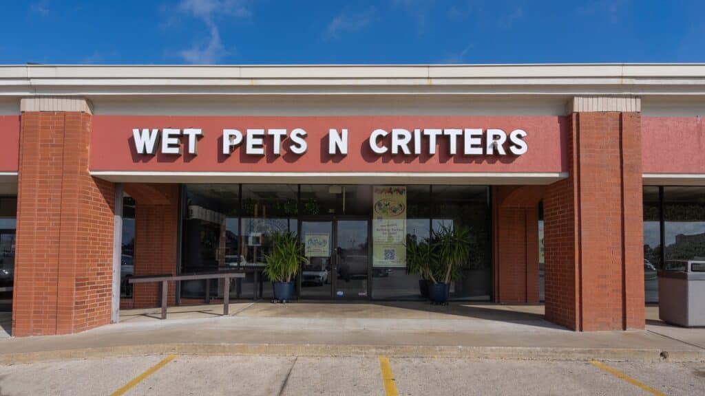 Store of the Month - March 2026